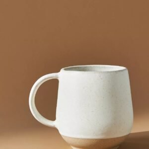Novara Mug